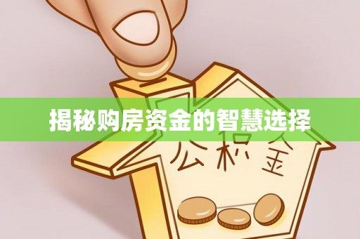 龙州揭秘购房资金的智慧选择