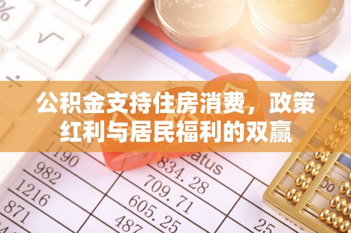 龙州公积金支持住房消费，政策红利与居民福利的双赢