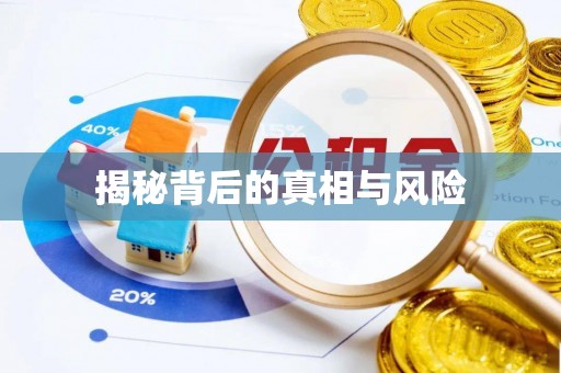 龙州揭秘背后的真相与风险