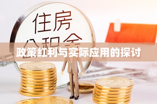 龙州政策红利与实际应用的探讨