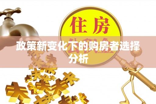 龙州政策新变化下的购房者选择分析
