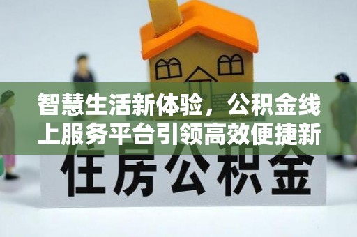 龙州智慧生活新体验，公积金线上服务平台引领高效便捷新潮流