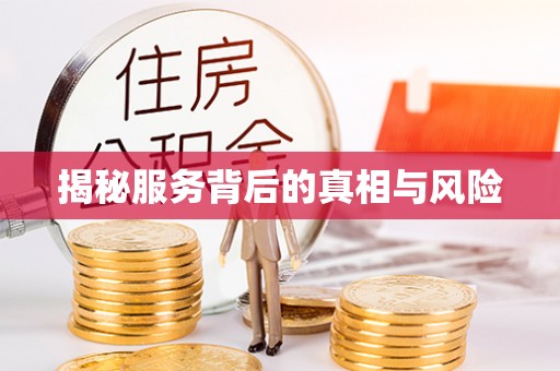 龙州揭秘服务背后的真相与风险