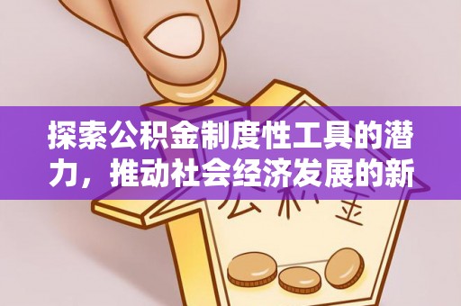 龙州探索公积金制度性工具的潜力，推动社会经济发展的新引擎