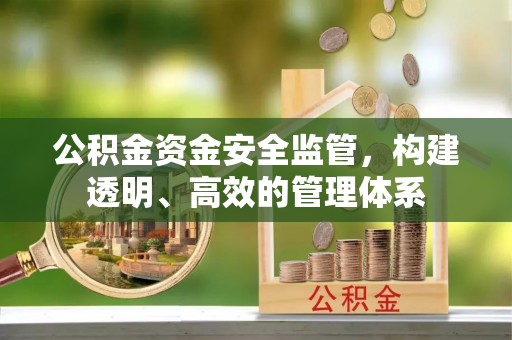 龙州公积金资金安全监管，构建透明、高效的管理体系