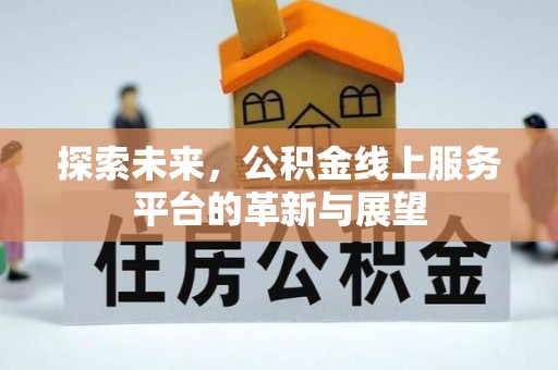 龙州探索未来，公积金线上服务平台的革新与展望