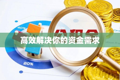 龙州高效解决你的资金需求