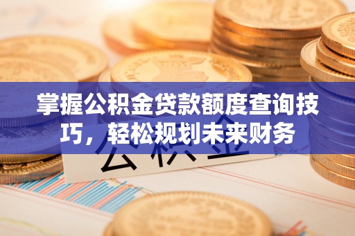 龙州掌握公积金贷款额度查询技巧，轻松规划未来财务