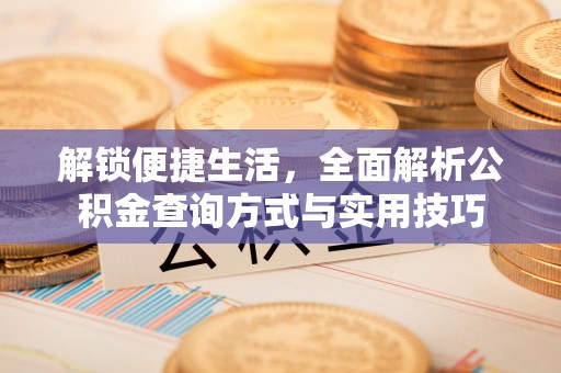 龙州解锁便捷生活，全面解析公积金查询方式与实用技巧