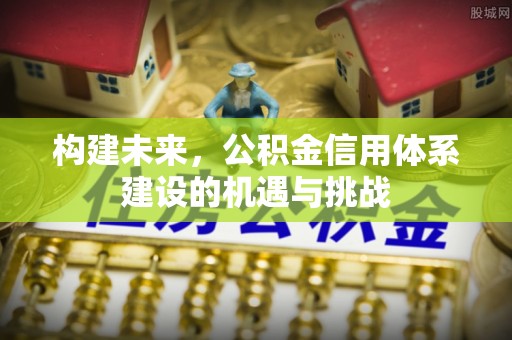 龙州构建未来，公积金信用体系建设的机遇与挑战