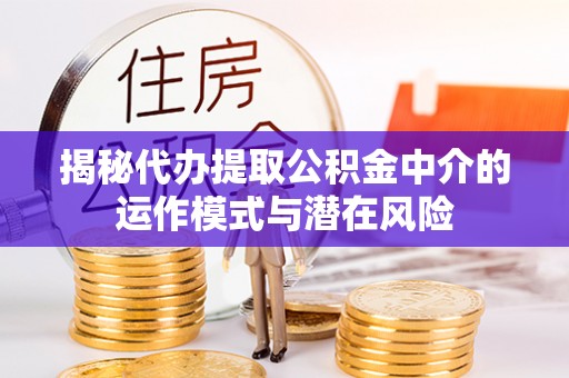 龙州揭秘代办提取公积金中介的运作模式与潜在风险