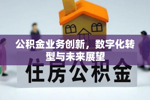 龙州公积金业务创新，数字化转型与未来展望