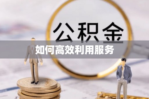 龙州如何高效利用服务