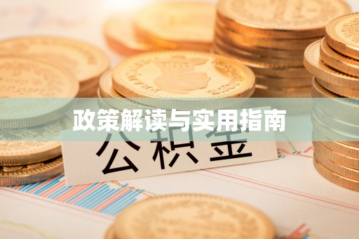 龙州政策解读与实用指南