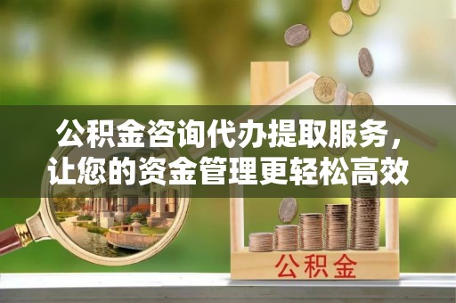 龙州公积金咨询代办提取服务，让您的资金管理更轻松高效