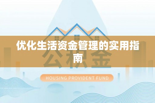 龙州优化生活资金管理的实用指南