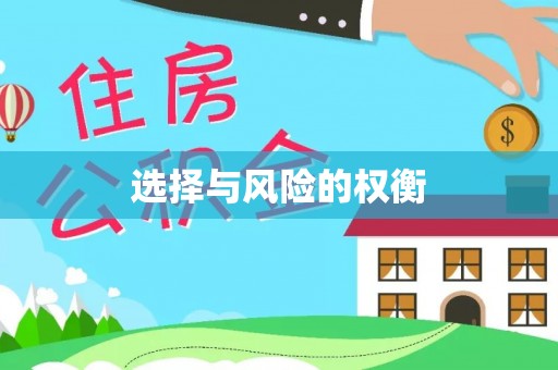 龙州选择与风险的权衡
