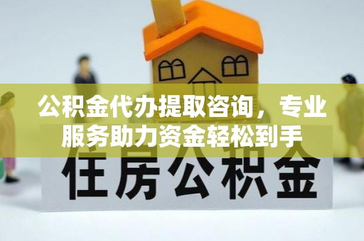 龙州公积金代办提取咨询，专业服务助力资金轻松到手