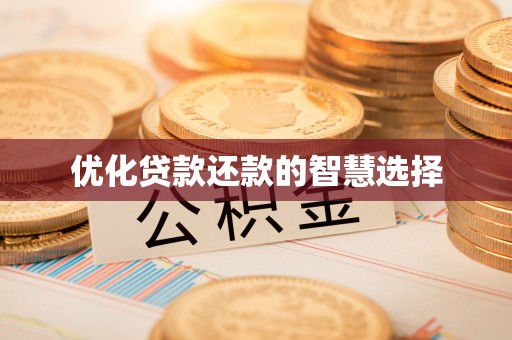 龙州优化贷款还款的智慧选择