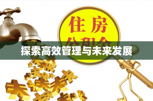 龙州探索高效管理与未来发展