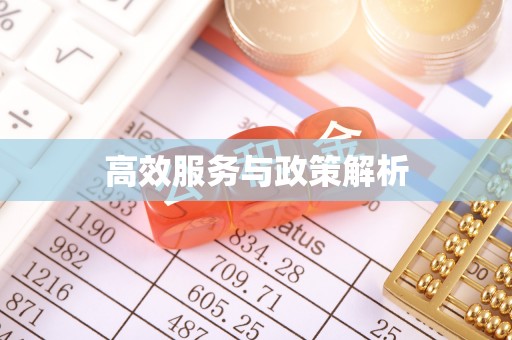 龙州高效服务与政策解析