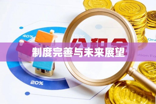 龙州制度完善与未来展望