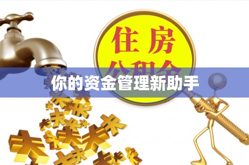 龙州你的资金管理新助手