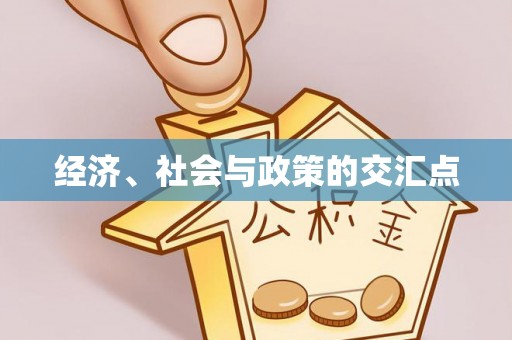 龙州经济、社会与政策的交汇点