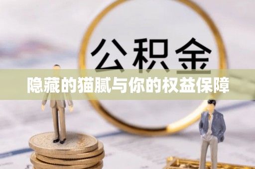 龙州隐藏的猫腻与你的权益保障