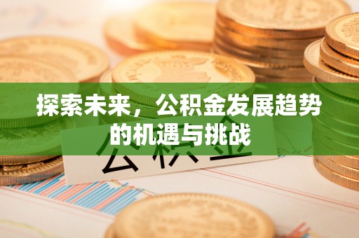 龙州探索未来，公积金发展趋势的机遇与挑战