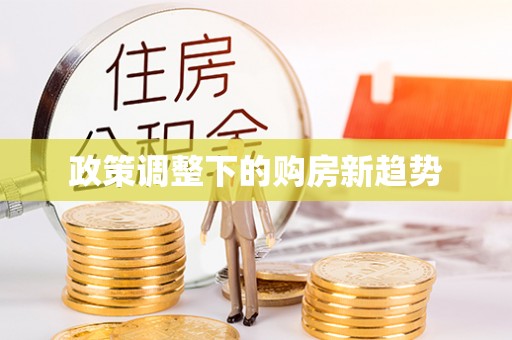 龙州政策调整下的购房新趋势