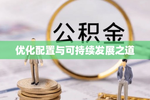 龙州优化配置与可持续发展之道