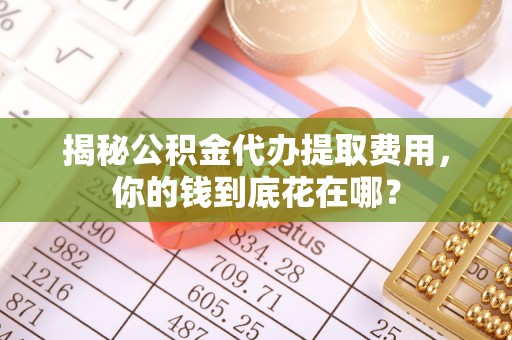 龙州揭秘公积金代办提取费用，你的钱到底花在哪？