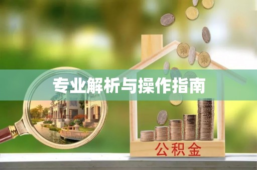 龙州专业解析与操作指南