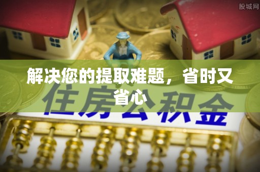 龙州解决您的提取难题，省时又省心