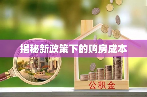 龙州揭秘新政策下的购房成本