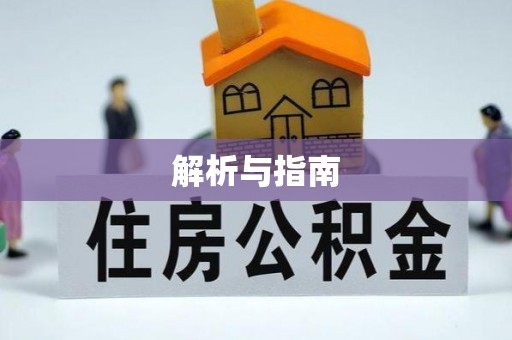 龙州解析与指南