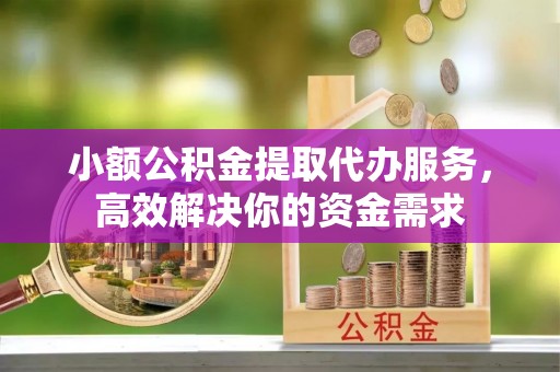 龙州小额公积金提取代办服务，高效解决你的资金需求