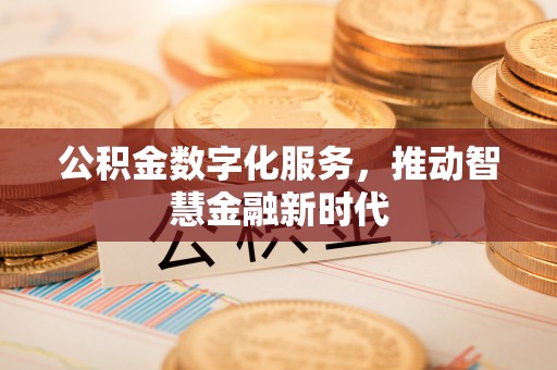 龙州公积金数字化服务，推动智慧金融新时代