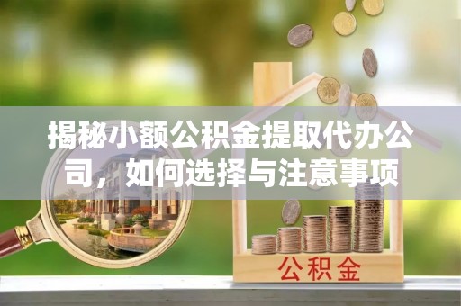 龙州揭秘小额公积金提取代办公司，如何选择与注意事项