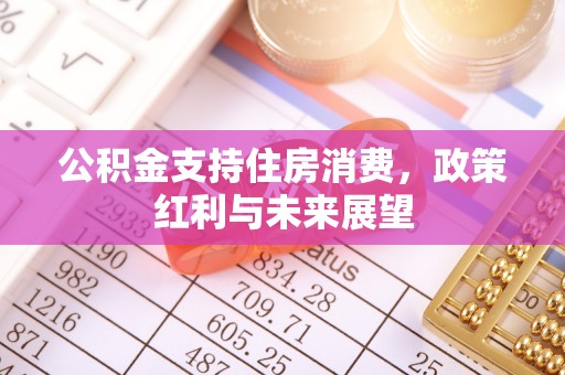 龙州公积金支持住房消费，政策红利与未来展望