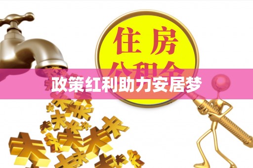 龙州政策红利助力安居梦