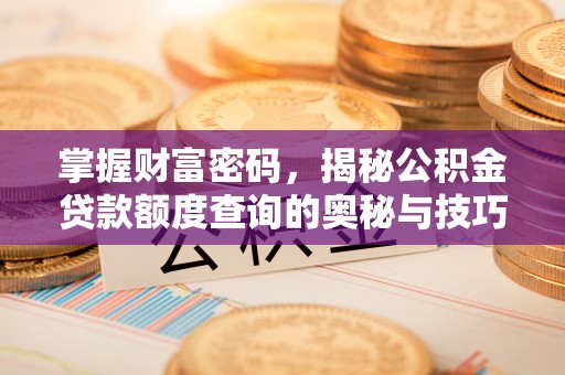 龙州掌握财富密码，揭秘公积金贷款额度查询的奥秘与技巧
