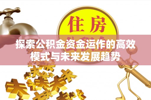 龙州探索公积金资金运作的高效模式与未来发展趋势