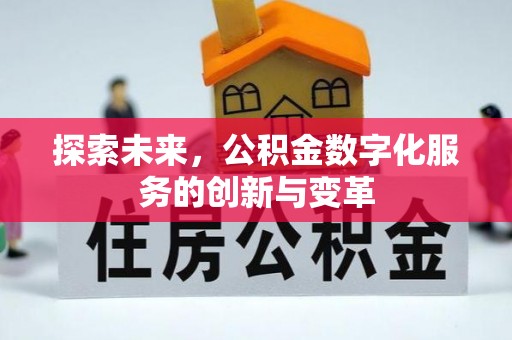 龙州探索未来，公积金数字化服务的创新与变革