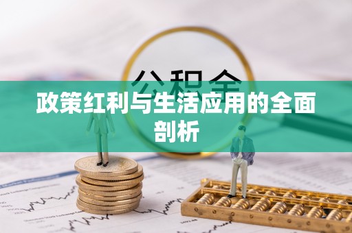 龙州政策红利与生活应用的全面剖析