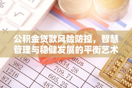 龙州公积金贷款风险防控，智慧管理与稳健发展的平衡艺术