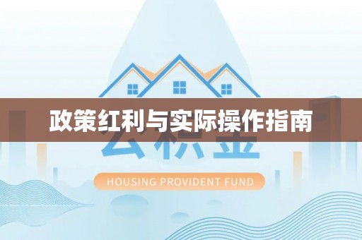 龙州政策红利与实际操作指南