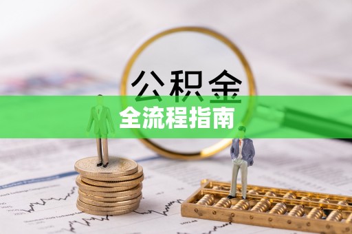 龙州全流程指南