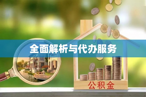龙州全面解析与代办服务